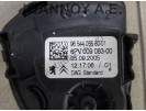 ΠΕΤΑΛ ΓΚΑΖΙΟΥ 9654405580 9654405580-01 6PV009083-00 CITROEN C3 2002 - 2010